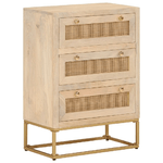 vidaXL Cassettiera 55x30x76 cm in Legno Massello di Mango e Ferro