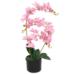 Orchidea Artificiale con Vaso 65 cm Rosa