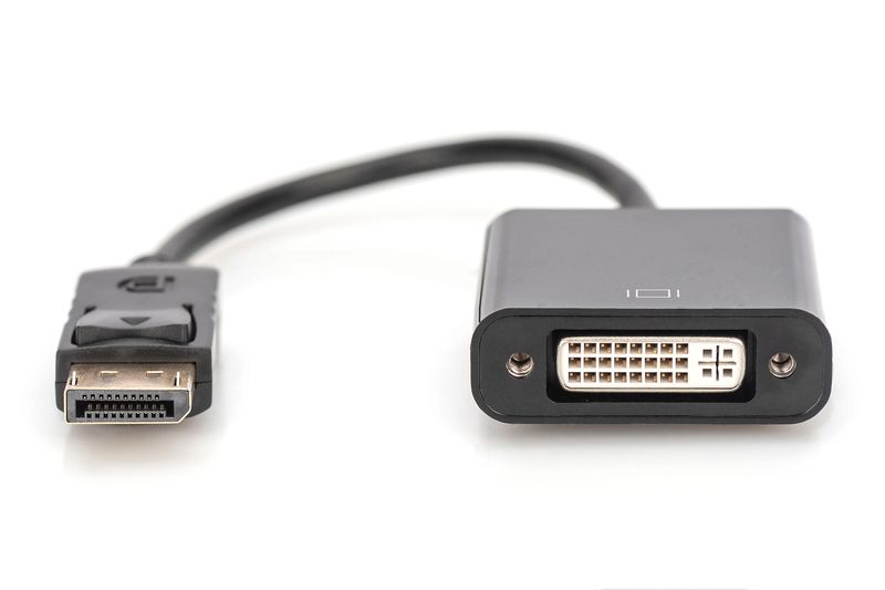 Digitus-Cavo-adattatore-DisplayPort---DVI