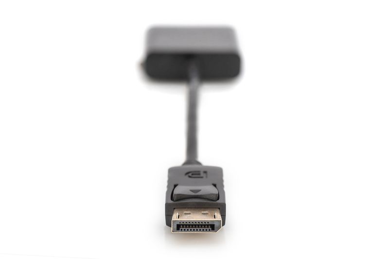 Digitus-Cavo-adattatore-DisplayPort---DVI