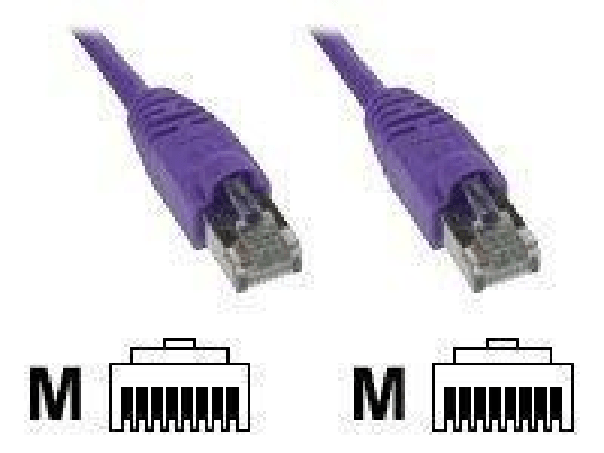 InLine---Cavo-patch---Da-RJ-45--M--a-RJ-45--M----50-cm---SFT