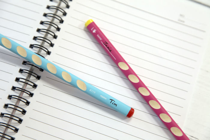 STABILO-EASYgraph-HB-1-pz