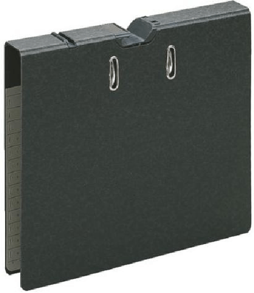 Leitz 20220000 raccoglitore ad anelli A4 Nero
