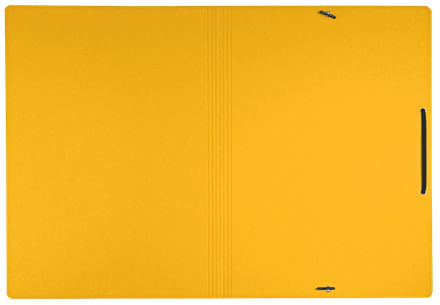 Leitz-39080015-cartella-Cartoncino-Giallo-A4