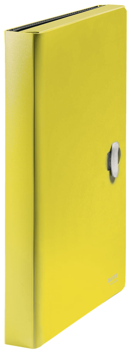 Leitz-46240015-raccoglitore-250-fogli-Giallo-Polipropilene--PP-