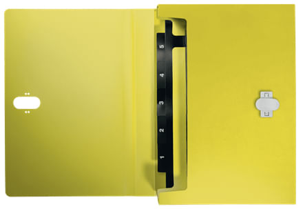 Leitz-46240015-raccoglitore-250-fogli-Giallo-Polipropilene--PP-
