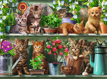 Ravensburger-14824-puzzle-500-pz-Animali