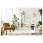 Beko-EFE6030W-condizionatore-portatile-8-L-62-dB-Bianco