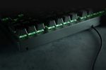 Razer-Blackwidow-V3-Tenkeyless-tastiera-USB-QWERTY-Inglese-US-Nero