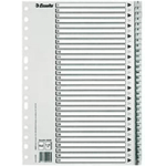 Esselte Busta da 25 Indici Numerici in Plastica - Schede da 1 a 31 - Multiforo - Formato A4 - Colore Grigio