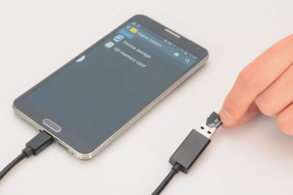 ASSMANN-Electronic-31517-cavo-USB-03-m-USB-2.0-USB-A-Micro-USB-B-Nero