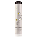 SHAMPO ILLUMINANTE SOLAREA 250 ML ELGON