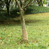 img-0eec3fcd-4135-407f-8286-e00705c16d20.png