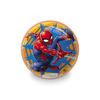 SPIDERMAN-BIO-GONFIO