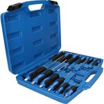 Brilliant-Tools-BT034012-cacciavite-manuale-Set-Cacciavite-di-precisione