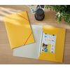 Leitz-30020019-cartella-Giallo