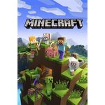 Microsoft Minecraft Starter Collection, Xbox One Confezione Starter Inglese