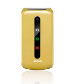 Brondi-President-762-cm--3---130-g-Oro-Telefono-cellulare-basico