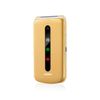 Brondi-President-762-cm--3---130-g-Oro-Telefono-cellulare-basico