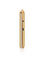 Brondi-President-762-cm--3---130-g-Oro-Telefono-cellulare-basico