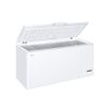 Haier-HCE519F-frigorifero-e-congelatore-commerciali-Libera-installazione-F