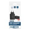 Ansmann-HC430-Universale-Nero-AC-Interno