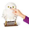 Wizarding-World---Civetta-Edvige-interattiva-di-Harry-Potter---15-suoni-e-movimenti---Reagisce-al-tatto-e-alla-voce---Peluche-interattivo-per-bambin