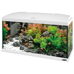 Hydor Acquario CAPRI 80 LED, in Vetro, Lampada Led, Capacita' 100 L, Filtro Interno e Riscaldatore, Bianco