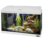 Hydor Acquario CAPRI 50 LED, in Vetro, Lampada Led, Capacita' 40 L, Filtro Interno e Riscaldatore, Bianco