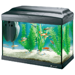 Hydor Acquario CAYMAN 40 CLASSIC, in Vetro, Capacita' 21 L, Lampada e Filtro Interno, Decorazioni Incluse, Nero