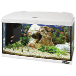 Hydor Acquario CAPRI 60 LED, in Vetro, Lampada Led, Capacita' 60 L, Filtro Interno e Riscaldatore, Bianco