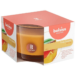 Bolsius Candela Bicchiere Mango 90x63mm