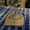 img-3bf64f8d-31f0-4659-8776-d22eca3b0afa.png