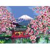 Ravensburger-20177-pagina-e-libro-da-colorare-Colore-per-kit-di-verniciatura-in-base-ai-numeri