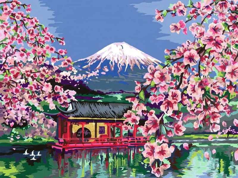 Ravensburger-20177-pagina-e-libro-da-colorare-Colore-per-kit-di-verniciatura-in-base-ai-numeri