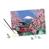 Ravensburger-20177-pagina-e-libro-da-colorare-Colore-per-kit-di-verniciatura-in-base-ai-numeri