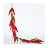 img-9883e92b-2a70-450f-bfe3-b3b9bb1c82f9.png
