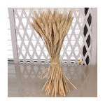 Trade Shop Traesio-spighe Di Grano Fascio 80 Pezzi Colore Naturale Artificiali H92cm Decorazione -