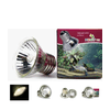 img-43b984fc-e19c-4904-8ba3-ee12a4bebaa4.png