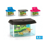 Trade Shop Traesio-acquario Rettangolare In Plastica Rigida 5,5 Lt Con Coperchio 28 X 20 X 17 Cm -