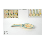 Trade Shop Traesio-set 6 Pezzi Poggiamestolo Poggia Mestolo In Ceramica Decoro Fiori Cucina -