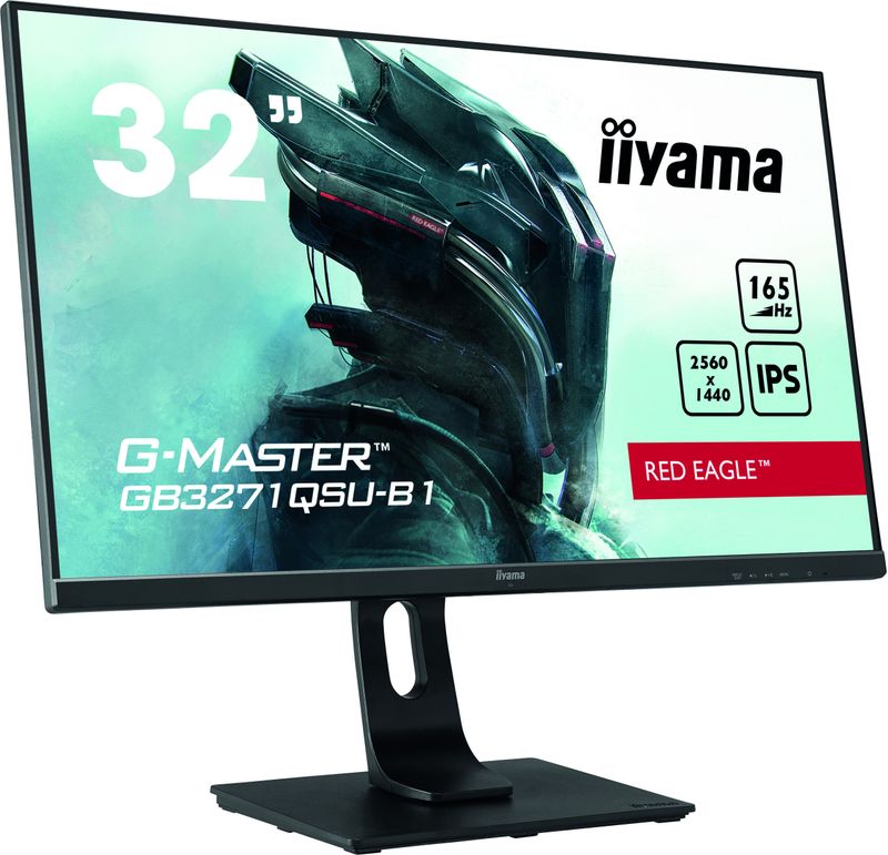 iiyama-G-MASTER-GB3271QSU-B1-Monitor-PC-80-cm--31.5---2560-x-1440-Pixel-Wide-Quad-HD-LED-Nero