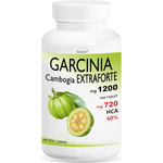 GARCINIA 360 capsule