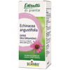 img-826514b9-4211-4809-abc9-8beb5f0e1e88.png