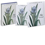 IRIS SACCHETTO PROFUMATO PER CASSETTI