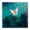 img-e4d35b3f-8d72-4664-9a3a-c2590f93ab66.png
