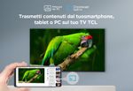 TCL-P655-Series-Serie-P6-Smart-TV-Ultra-HD-4K-55-55P655-Dolby-Audio-Controlli-vocali-Google-TV