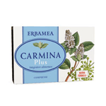 CARMINA PLUS 24 COMPRESSE 19,2 G