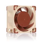 Noctua NF-A4x20 PWM Case per computer Ventilatore 4 cm Beige, Marrone (Noctua NF-A4x20 PWM 5000RPM Fan - 40mm)