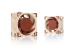 Noctua-NF-A4x20-PWM-Case-per-computer-Ventilatore-4-cm-Beige-Marrone--Noctua-NF-A4x20-PWM-5000RPM-Fan---40mm-